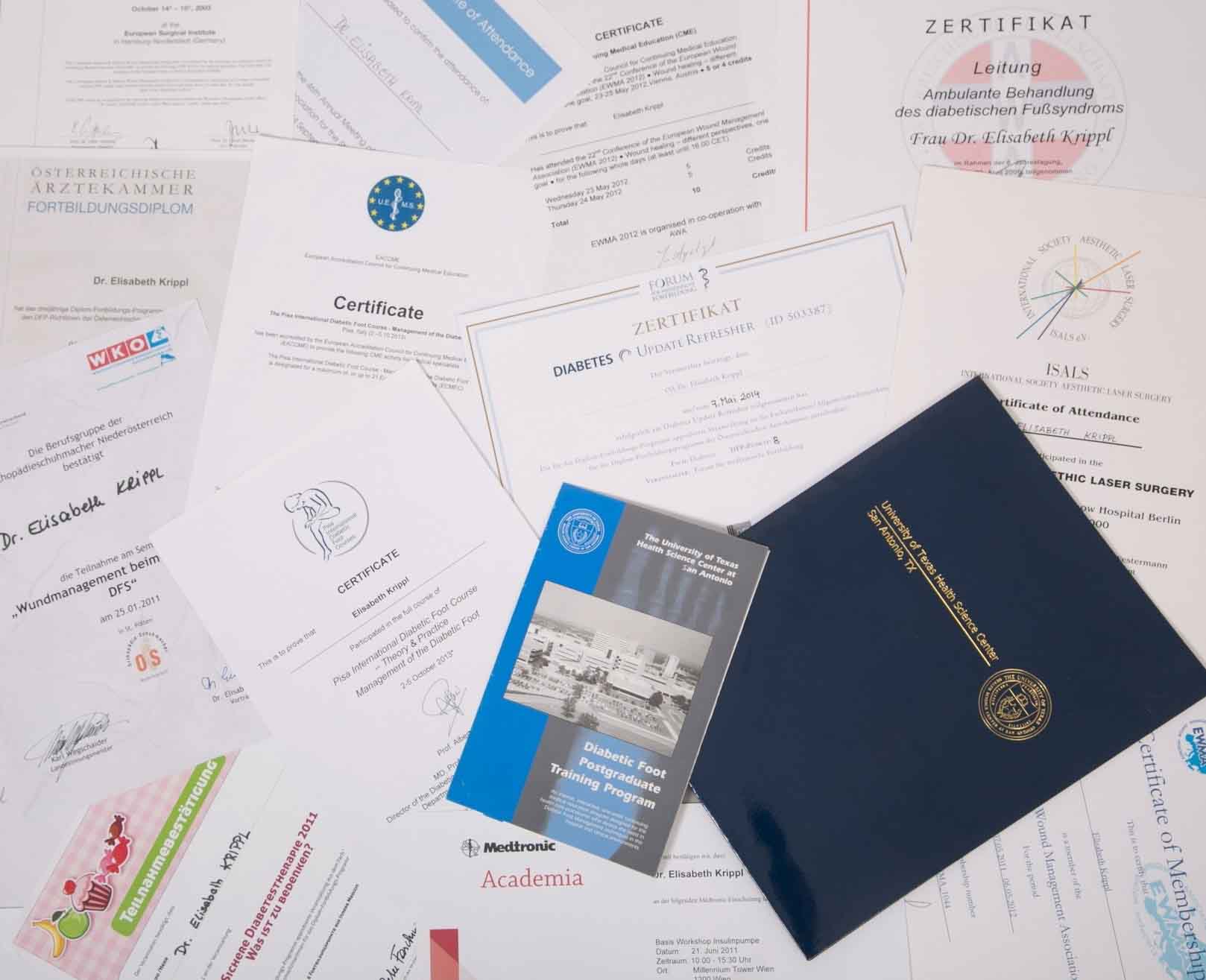 Qualifikationen Dr. Krippl Blutzuckereinstellung Diabetes